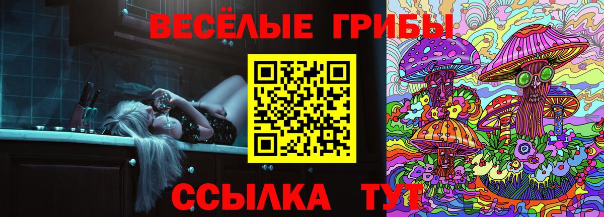 Псилоцибиновые грибы Magic Shrooms  Вход с VPN  Псилоцибиновые грибы GOLDEN TEACHER  Краснознаменск 