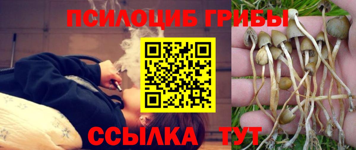 ГАШИШ Краснознаменск